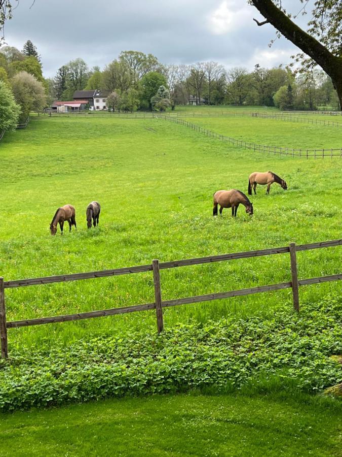 Herrenhaus - Starnberger See - Ammerland Münsing Dış mekan fotoğraf