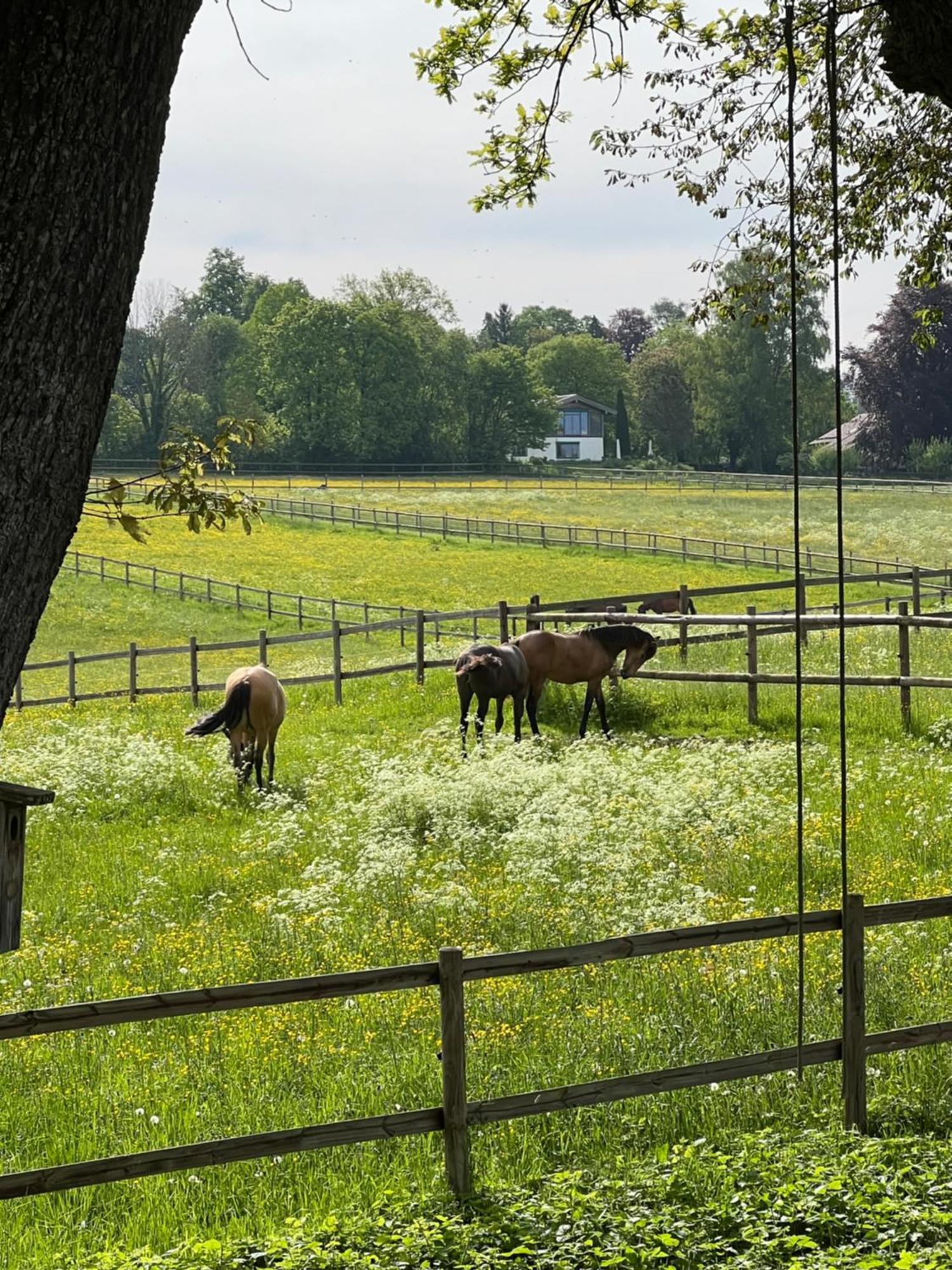 Herrenhaus - Starnberger See - Ammerland Münsing Dış mekan fotoğraf