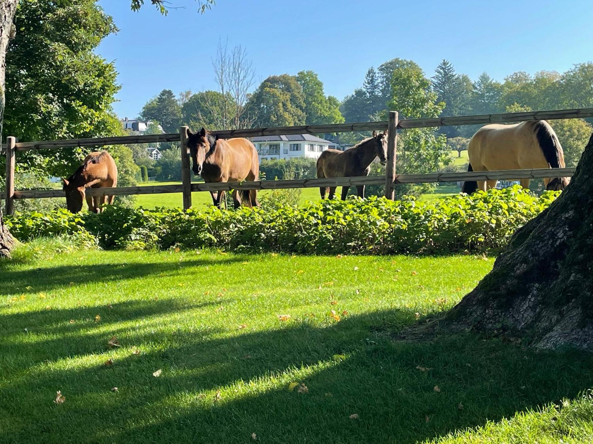 Herrenhaus - Starnberger See - Ammerland Münsing Dış mekan fotoğraf